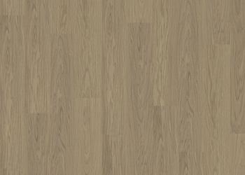 XPRESSION Hazel